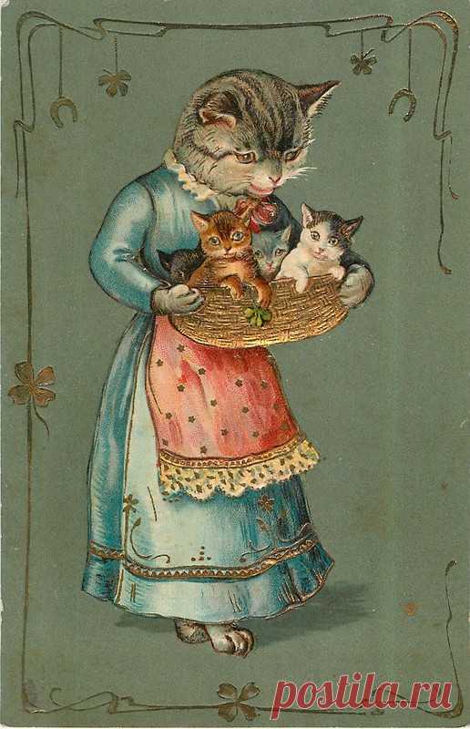 Vintage Postcards