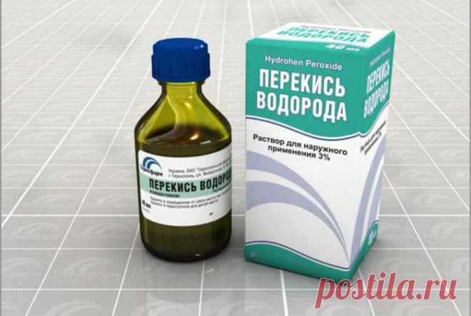 Эффективные удобрения для комнатных и садовых растений, которые есть дома у каждого
