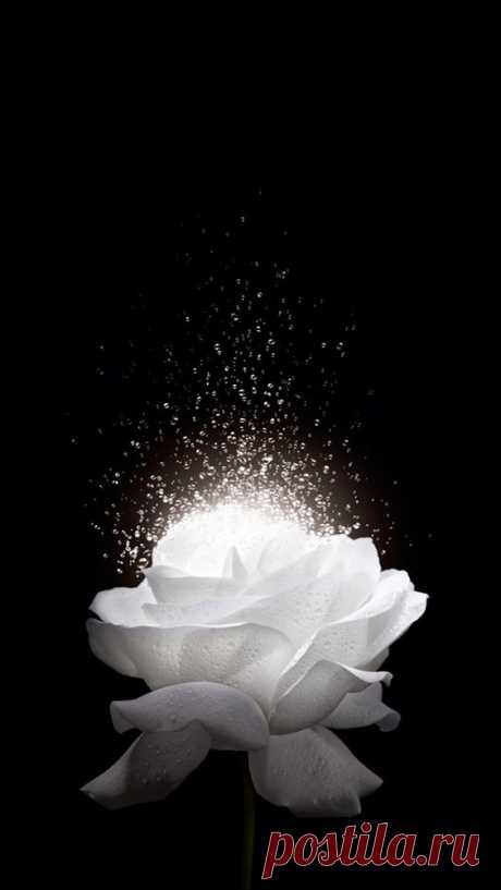 Pinterest
