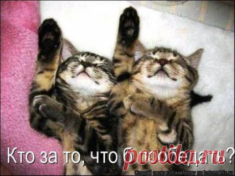 Одноклассники
