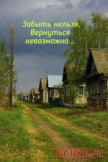 Фотография в альбоме «Гифы»