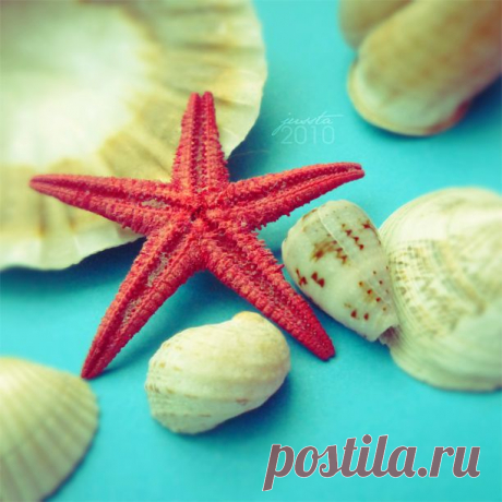 Фотопост: первый день лета | Selfhacker.ru