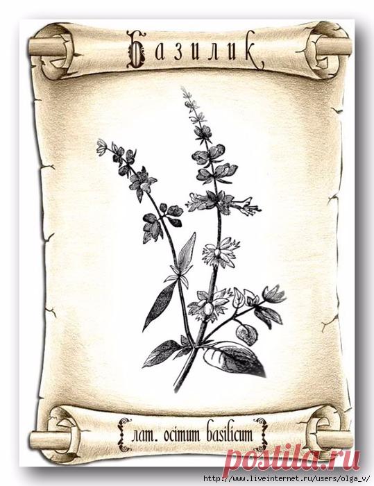 Картинки для творчества.