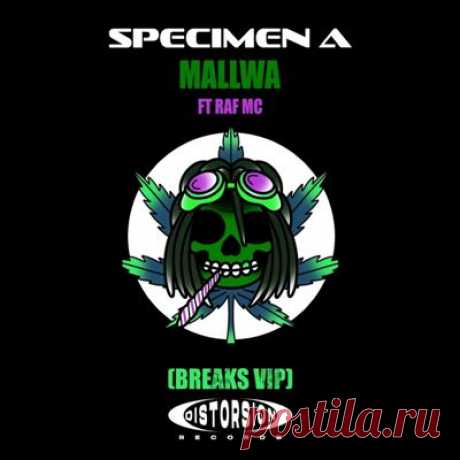 Specimen A, Raf MC – Mallwa (Breaks Vip)
