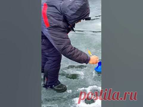 Первая щука на жерлицы в этом сезоне! Рыбалка не порадовала трофеями, зато порадовала количеством поклевок. Набегался от души! )))
