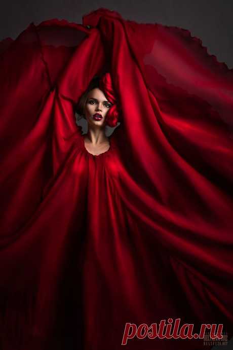 35PHOTO - Беляева Света - No title