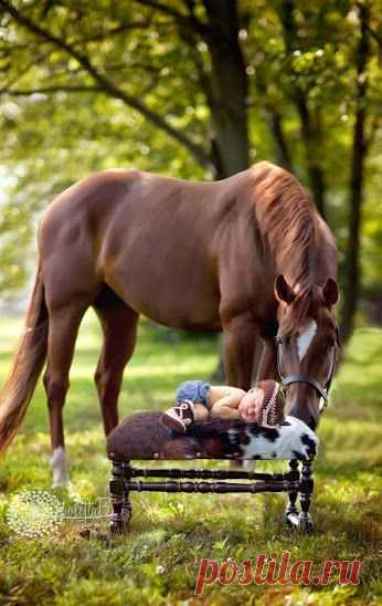 (11) Pinterest