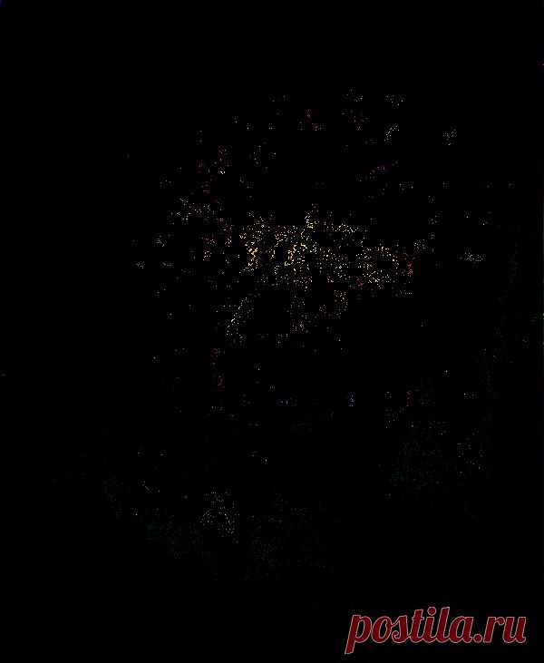 Георгина | В гостях у тамады!