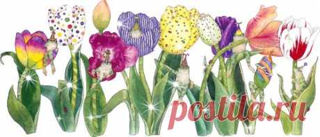 Уход за комнатными растениями. - • Мир Красоты и Хорошего Настроения!!.. - Группы Мой Мир