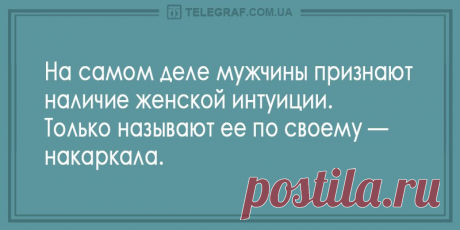 Улыбка до ушей: вечерние анекдоты 8 октября - Смешные анекдоты - Эта подборка не даст вам скучать - Новости Телеграф - Страница 5