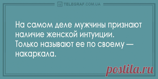 Улыбка до ушей: вечерние анекдоты 8 октября - Смешные анекдоты - Эта подборка не даст вам скучать - Новости Телеграф - Страница 5