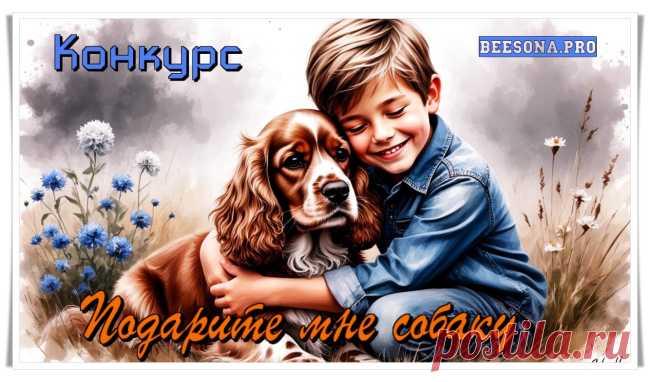 Конкурс «Подарите мне собаку» - Блоги творческих и интересных людей Блоги интересных людей - Конкурс «Подарите мне собаку»