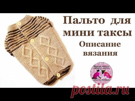 Свитер на пуговицах или пальто для мини таксы. Описание вязания