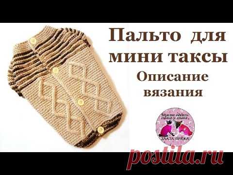 Свитер на пуговицах или пальто для мини таксы. Описание вязания
