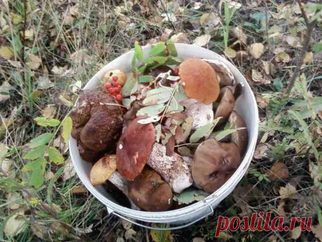 Какой вчера был праздник церковный При клиниках на Девичьем поле.