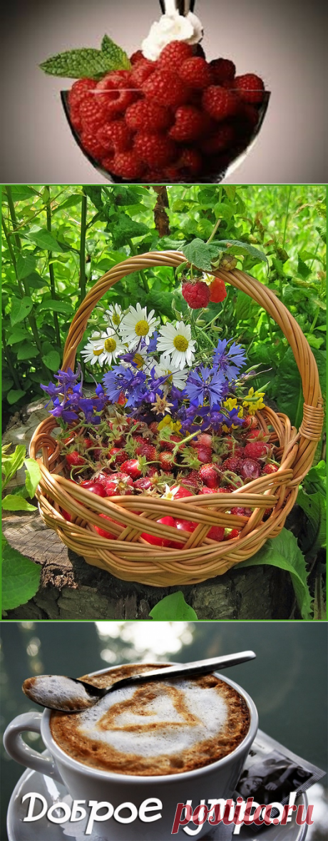 С добрым утром! | Записи в рубрике С добрым утром! | Дневник Риточка_Л