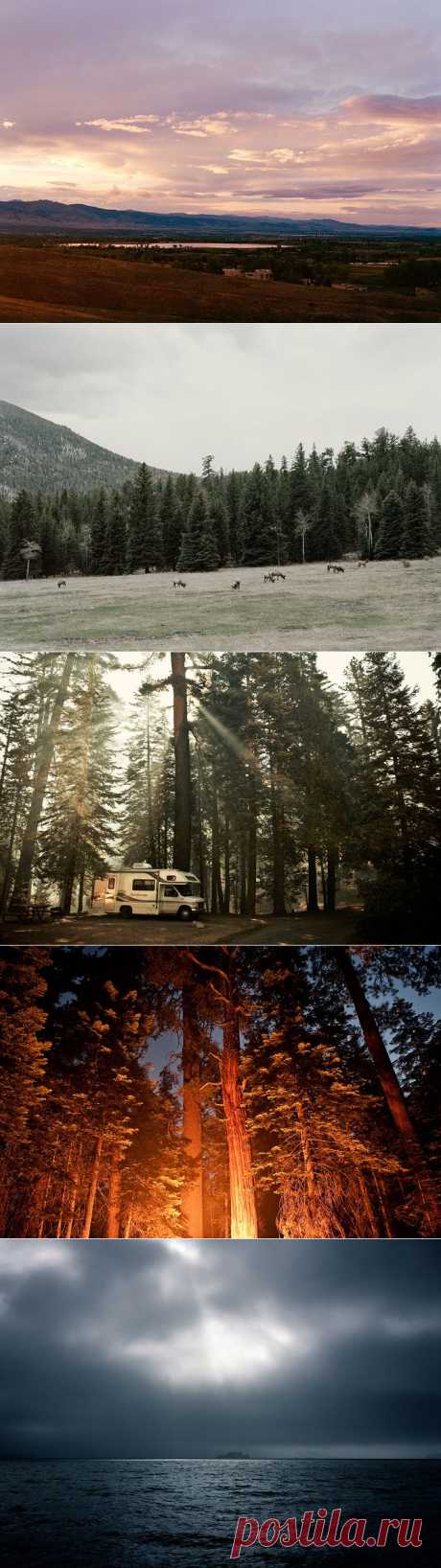 Фото и рисунки, арт и креативная реклама