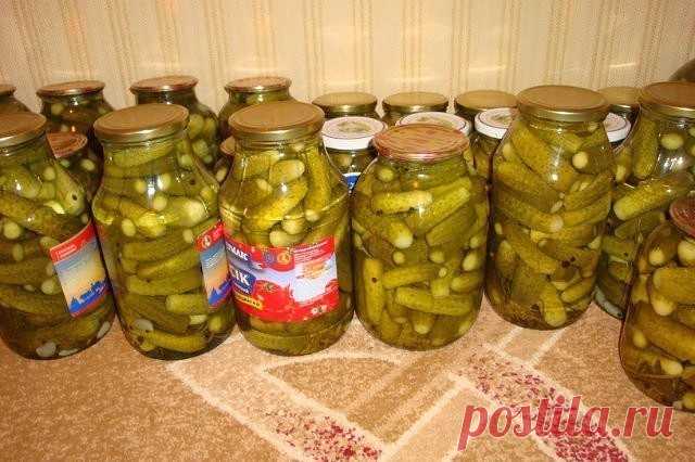 (1) Одноклассники