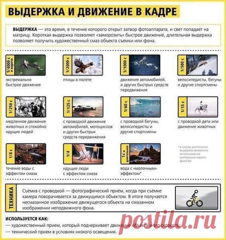 Интересные новости