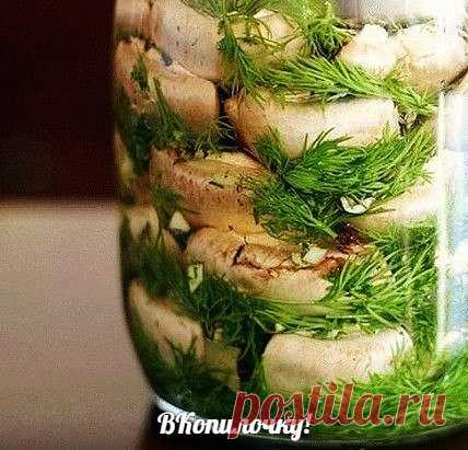 МАЛОСОЛЬНЫЕ ШАМПИНЬОНЫ на скорую руку - мировой рецептик! 

Рецепт просто сногсшибательный!!! Все наши гости говорят, что магазинные маринованные шампиньоны сидят и нервно курят в углу! 

Хотите порадовать и удивить гостей чем-то необычным и вкусным! Вы готовили малосольные шампиньоны? Нет?! 

Начну с совета: грибы лучше покупать мелкие, т.к. они будут аппетитнее смотреться в блюде! Крупные грибы рекомендуется разрезать на 2-3 части по вертикали, чтобы на срезе была форма ...
