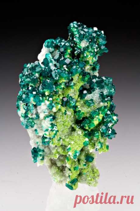 mineralia:
“ Dioptase with Dolomite and Duftite from Namibia
by Dan Weinrich
”