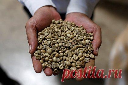 Страна — партнер БРИКС резко увеличила экспорт кофе