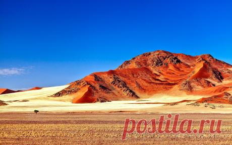 LONELY TREE [09] desert sample [VersionOne161122] [16november2012friday] Computer Wallpapers, Desktop Backgrounds 2560x1600 Id: 324800