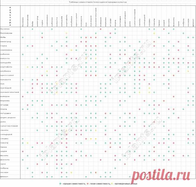 Совместимость овощных культур « Садовые растения и цветы