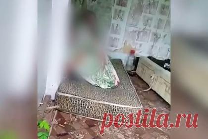 Россиянка обнаружила в своем погребе шестерых детей-маугли и сняла их на видео. Жительница подмосковного города Руза обнаружила в своем погребе шестерых детей-маугли. По предварительным данным, несовершеннолетним от шести до 16 лет. Уточняется, мать выгнала детей из дома, когда ее сожитель обвинил их в воровстве. Они бродили по улицам и ели то, что давали соседи.