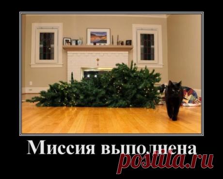 Демотиваторы (30 фото) » Триникси