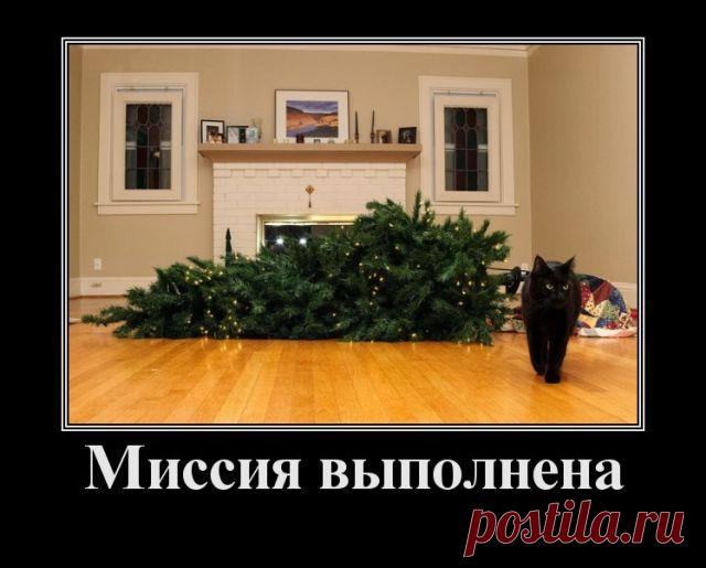 Демотиваторы (30 фото) » Триникси