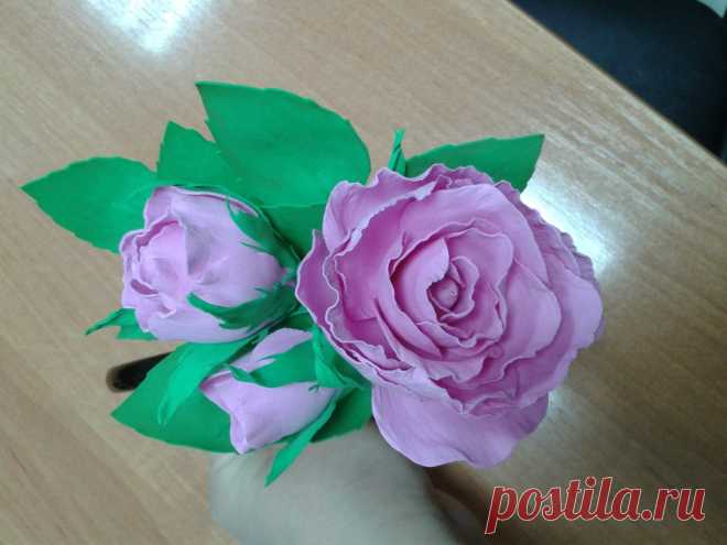 Фотографии Любы Назаровой – 8 альбомов