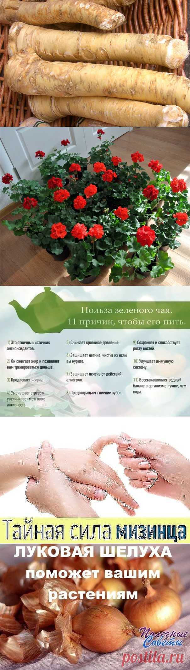 (48) Одноклассники