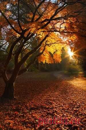 sunrise Search on Indulgy.com