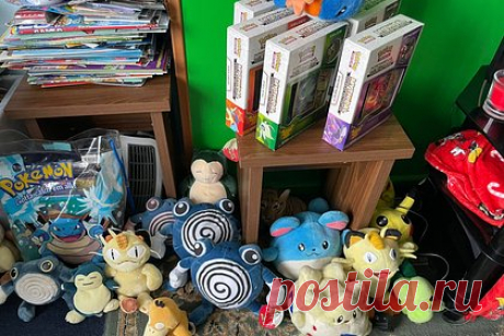 Фанатка покемонов собралась продать огромную коллекцию за 20 миллионов рублей. Женщина из Великобритании продаст самую большую в мире коллекцию предметов с покемонами на аукционе. Фанатка покемонов собирала тематические предметы в течение 25 лет. Сотрудники аукционного дома считают, что коллекция уйдет с молотка за 300 тысяч фунтов стерлингов (20 миллионов рублей).