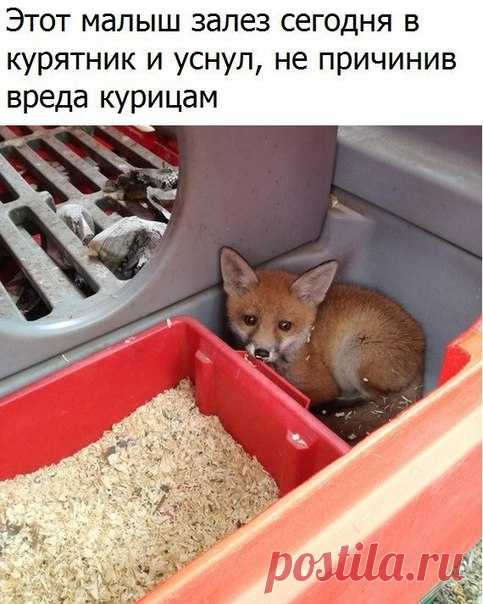 Лайфхак