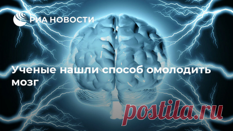 Ученые нашли способ омолодить мозг Ученые разработали метод, который позволяет путем воздействия на стволовые клетки головного мозга увеличить количество нейронов, замедлив тем самым процессы... РИА Новости, 10.01.2020