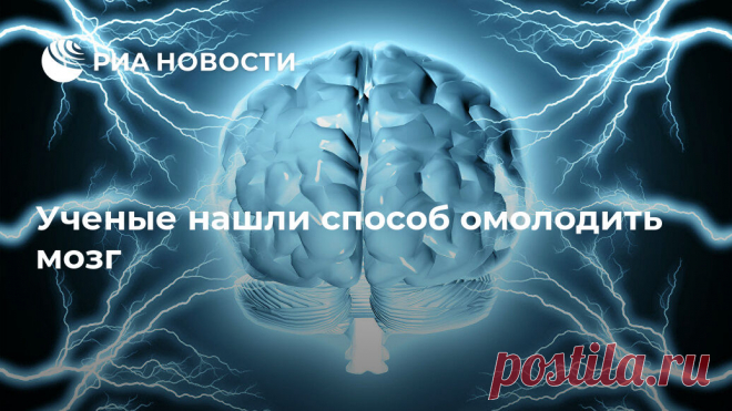 Ученые нашли способ омолодить мозг Ученые разработали метод, который позволяет путем воздействия на стволовые клетки головного мозга увеличить количество нейронов, замедлив тем самым процессы... РИА Новости, 10.01.2020