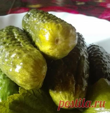 Малосольные огурцы - Простые рецепты Овкусе.ру