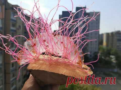Декор из Рисовой Бумаги. Украшение Торта За Копейки.Рисовая бумага