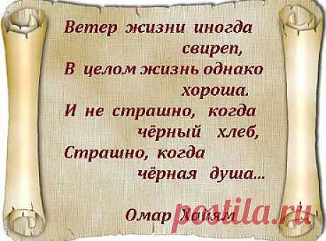(5) Одноклассники