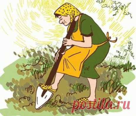 Гимн сорнякам