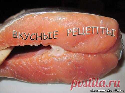 Соленая кета рецепт - Холодные закуски - Закуски и бутерброды - Рецепты - Вкусные рецепты
