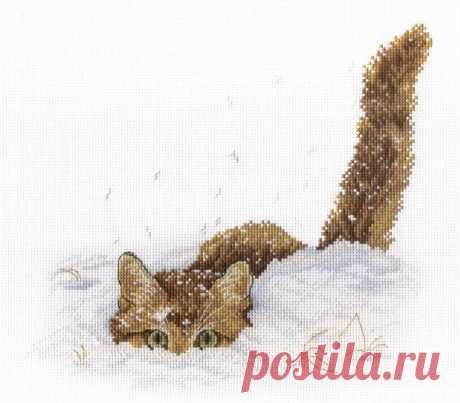 Кот в снегу. Перенабор.