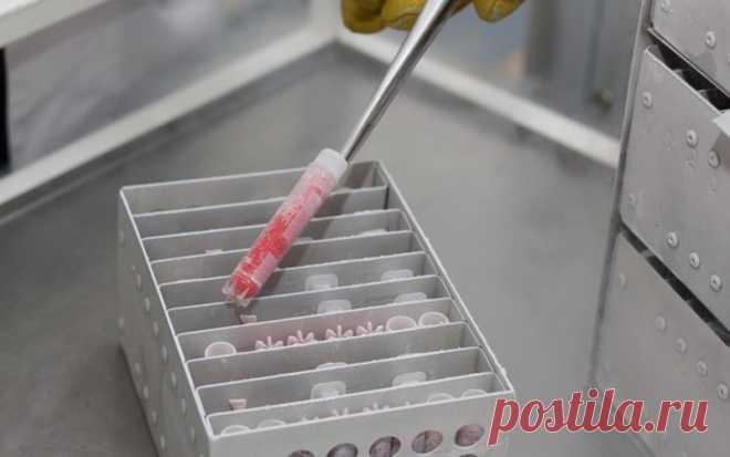 Биологическая страховка: Алика Смехова и Анна Хилькевич сохранили пуповинную кровь для защиты детей . Милая Я