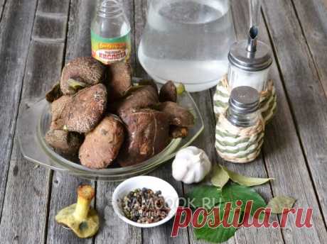 Моховики маринованные — рецепт с фото пошагово. Как мариновать грибы моховики на зиму?