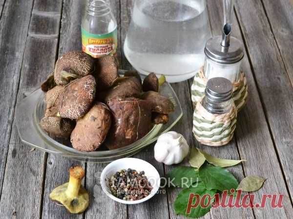 Моховики маринованные — рецепт с фото пошагово. Как мариновать грибы моховики на зиму?