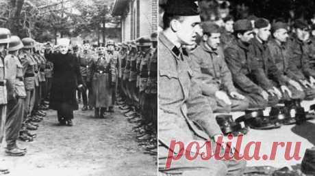 Из-за чего случился единственный бунт в рядах СС и причём тут боснийские мусульмане