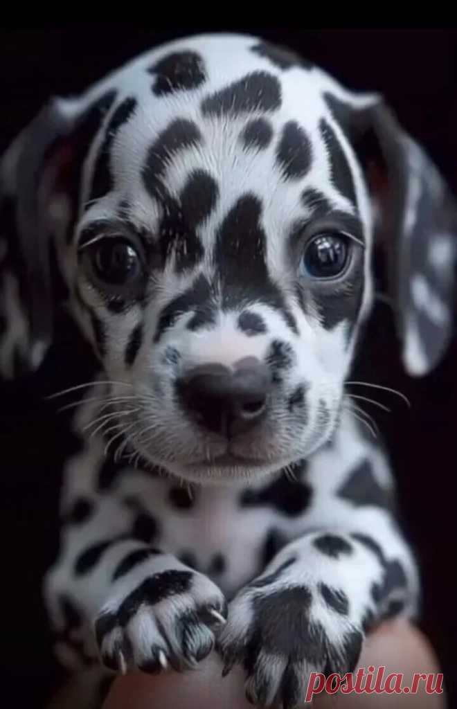 ღ