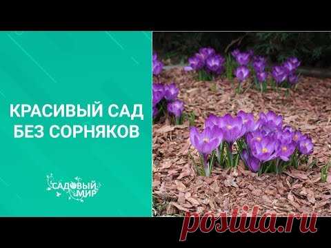 Красивый сад без сорняков